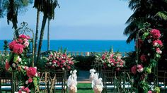 an outdoor wedding setup with flowers and chairs on the lawn by the ocean in front of palm trees