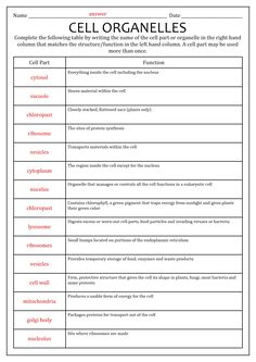 cell organelles worksheet for kids and adults with pictures on the top