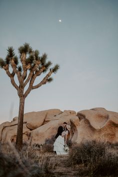 a bride and groom standing in front of a joshua tree