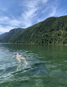 a person swimming in the water near a forest covered mountain range on a sunny day