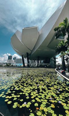 a large building with water lilies in front of it