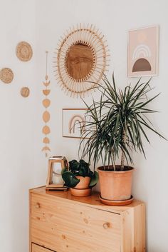 a wooden dresser topped with potted plants in front of a wall mounted sun mirror