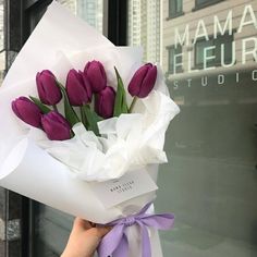 a person holding a bouquet of purple tulips