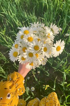 a person is holding daisies in their hand with other daisies around them on the grass