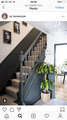 the stairs in this house are painted black