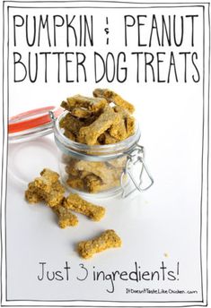 pumpkin peanut butter dog treats in a glass jar with the words just 3 ingredients on it