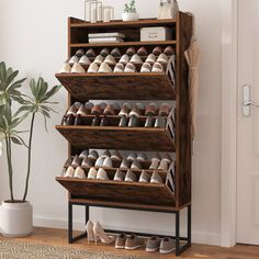 a wooden shoe rack filled with shoes next to a potted plant on top of a hard wood floor