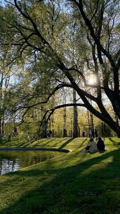 two people sitting on the grass near a lake and trees with sun shining through them