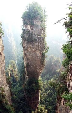 some very tall mountains with trees on them