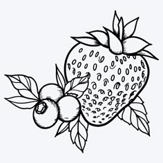 a drawing of strawberries and cherries on a branch with leaves in black and white