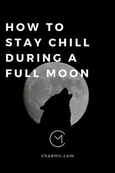 a wolf with the moon in the background text reads how to stay chill during a full moon