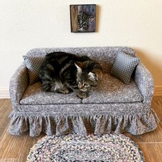 a cat laying on top of a couch next to a rug