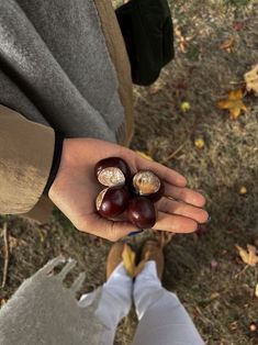 someone holding three chestnuts in their hand