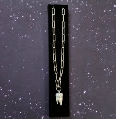 a necklace with a tooth on it and a chain attached to the back of it