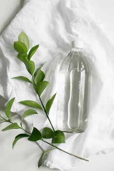 a glass bottle with some green leaves next to it on a white sheeted surface