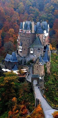 an aerial view of a castle surrounded by trees in the fall with leaves on the ground