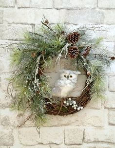 an owl is sitting in a wreath with pine cones and greenery on the wall