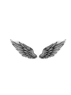 two black and white wings are shown on a white background with the words angel written in it