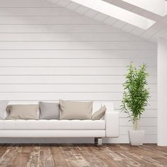 a white couch sitting on top of a wooden floor next to a potted plant