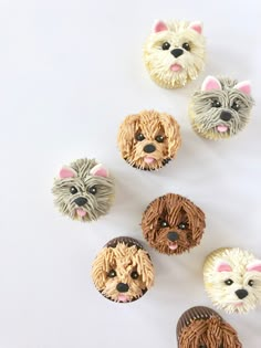 cupcakes made to look like dogs and cats