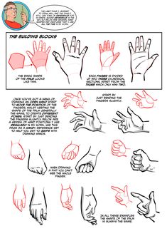 how to draw hands for beginners in the style of cartoon character hand gestures, with instructions