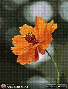 an orange flower is shown in this cross - stitch pattern, and it looks like the flowers are blooming