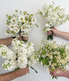 four people holding bouquets of white flowers in their hands, all with green stems