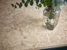 a vase filled with green plants sitting on top of a marble countertop next to a plant