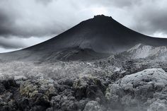 a black and white photo of a mountain in the distance with moss growing on it