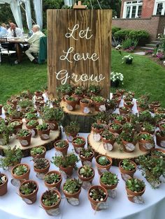 there are many potted plants on the table and sign that says let love grow