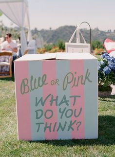 a pink and blue box that says blue or pink, what do you think?