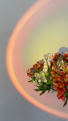 a vase filled with red and white flowers on top of a table next to a rainbow colored wall