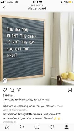 a screen shot of an instagram page with the message'the day you plant the seed is not the day you eat the fruit '