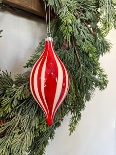 a red and white striped ornament hanging from a christmas tree with pine needles