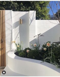 a modern garden with white walls and greenery