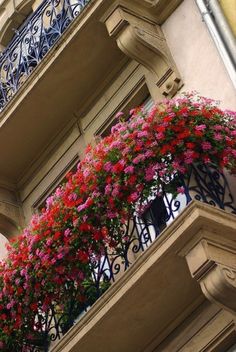 an ornate balcony with flowers on the balconies