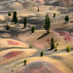 an aerial view of some trees in the middle of a barren area with red and yellow colors