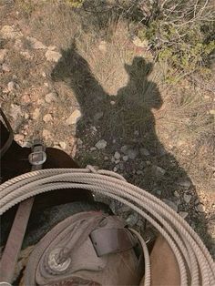 the shadow of a cowboy's hat and lasso is cast on a rope