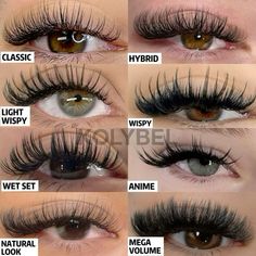 #lashes #lashextensions #volumelashes #eyelashextensions #eyelashes #lashartist  #lashtech #classiclashes #lashlove  #lashesfordays #hybridlashes #eyelash #classiclashes #wispylashes  #mmlashes #premadelashfans #premadefans #easyfan #rapidfans #eyelashextensionsupplies #easyfanlashes #easyvolumelashes #volumelash  #lashmap #lashmapping#kolybellashofficial Lash Extensions Ideas, Volume Lashes Extensions, Lash Map, Lash Mapping, Lashes Fake Eyelashes, Russian Lashes, Lash Studio, Lashes Extensions, Volume Lash Extensions