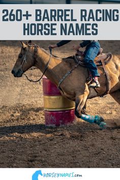 Get ready for the fastest, most exhilarating ride of your life with our exclusive collection of 260+ unique barrel racing horse names. Discover names that capture the speed, spirit, and power of your steed and set the stage for a truly unforgettable partnership. Barrel Racing Aesthetic, Buckskin Horse, Racing Horse, Barrel Racing Horses, Palomino Horse, Rodeo Horses, Barrel Horse, Barrel Racer, Horse Names