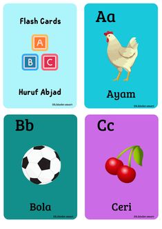 four flash cards with different types of animals and letters in the same color palettes