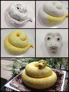 several pictures of different types of fake snakes and their heads are shown in this collage