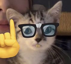 a cat wearing glasses making the peace sign with it's fingers while sitting in front of a woman