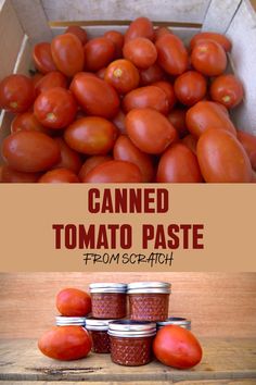 How to make homemade tomato paste for canning Homemade Tomato Paste Canning, Canning Tomatoe Paste Recipe, Canned Tomato Paste Recipe, Tomato Paste Canning Recipe, Homemade Tomato Paste Easy, How To Make Tomato Paste, Canning Tomato Paste, Make Tomato Paste, Abundance Of Tomatoes