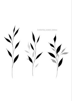 three black and white leaves on a white background