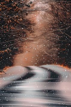 a snowy road with trees and snow flakes