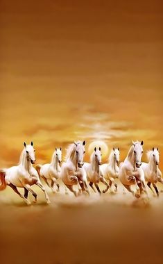 a group of white horses running across a desert landscape with the sun in the background