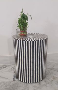 a black and white striped table with a potted plant on top