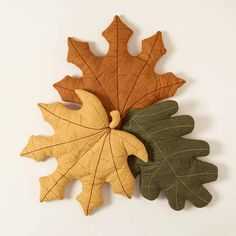 three different types of leaves on a white surface, one is brown and the other is green