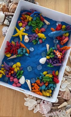 a tray filled with lots of different types of sea life